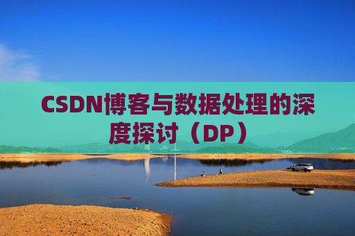 CSDN博客与数据处理的深度探讨（DP）